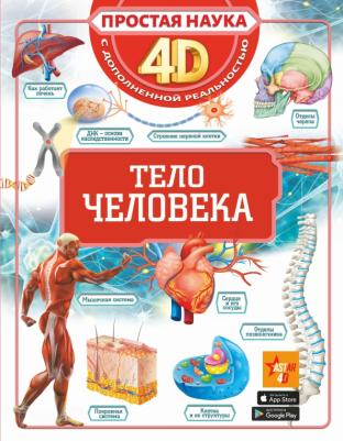 Спектор Анна Артуровна. Тело человека