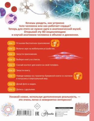 Спектор Анна Артуровна. Тело человека – фото 11