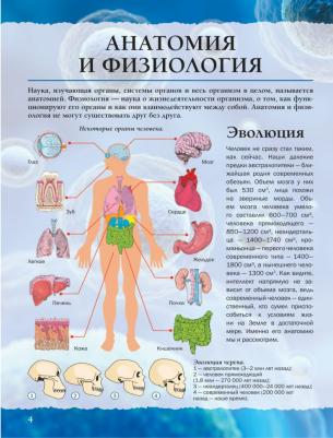 Спектор Анна Артуровна. Тело человека – фото 13