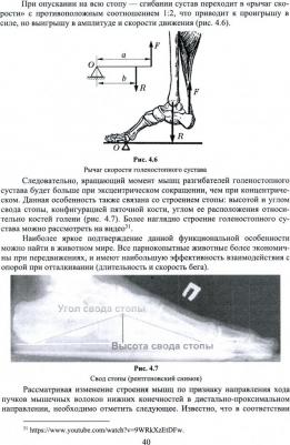 Стеблецов Евгений Андреевич. Биомеханика. Классификация отталкиваний ударного вида. Учебное пособие – фото 2