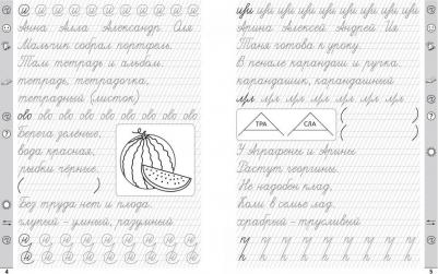 Субботина Елена Александровна. Тренажер по чистописанию. Русский язык. 1 класс – фото 1