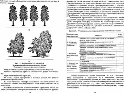 Султанова Рида Разябовна, Мартынова Мария Викторовна. Основы рекреационного лесоводства. Учебник – фото 1