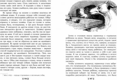 Свифт Джонатан. Путешествия Гулливера 9785041719395 – фото 1