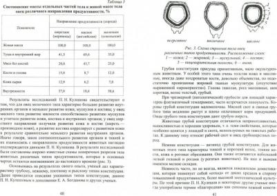 Танана Людмила Александровна, Климов Николай Николаевич, Коршун Светлана Ивановна. Типы конституции сельскохозяйственных животных и их использование – фото 1