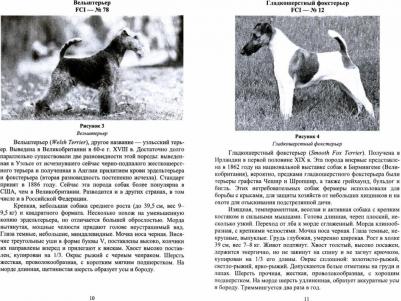 Тарнуев Дмитрий Владимирович. Охотничьи собаки. Учебное пособие для СПО – фото 1