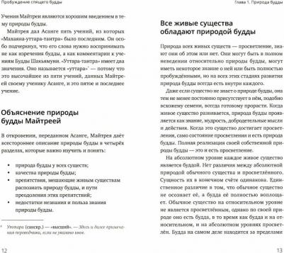 Тай Ситупа Двенадцатый. Пробуждение спящего будды – фото 1