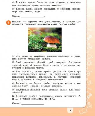 Тетрадь рабочая тренажер Информация Чтение Смыслы для 3-4 класса – фото 1