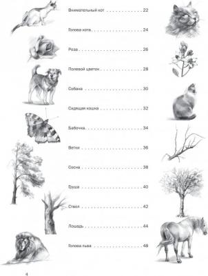 Тимохович Александра Ивановна. Самоучитель по рисованию. Шаг за шагом – фото 1