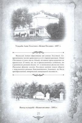 Толстой Лев Николаевич. Анна Каренина. Коллекционное иллюстрированное издание – фото 2