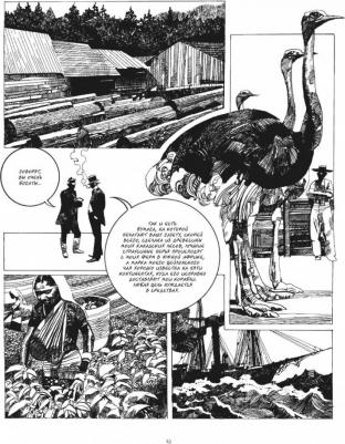 Топпи Серджо. Коллекционер – фото 1