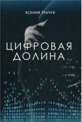 Трачук Ксения. Цифровая долина – фото 2