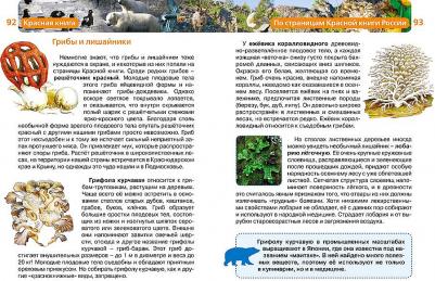 Травина Ирина Владимировна. Красная – фото 9