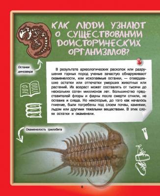 Туровец Дмитрий Васильевич. Где? Когда? Как? – фото 9
