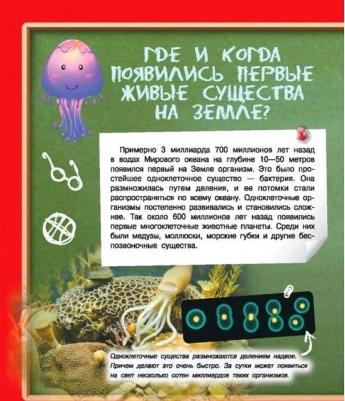 Туровец Дмитрий Васильевич. Где? Когда? Как? – фото 17