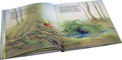 Улитка, пчела и лягушка ищут снег (иллюстрации Люка Купманса) – фото 15