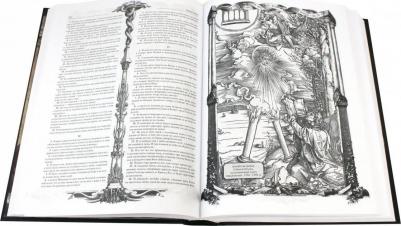 Ульшина Екатерина Евгеньевна. Библия. Книги Священного Писания Ветхого и Нового Завета c иллюстрациями художников эпохи Возрождения – фото 3