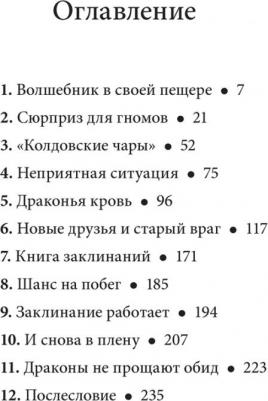 Уоткинс-Питчфорд Дэнис Джеймс. Волшебник Боландского леса – фото 3