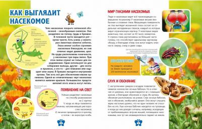 В мире насекомых. Детская энциклопедия – фото 19
