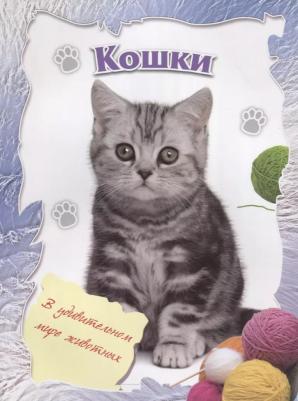 В удивительном мире животных. Кошки