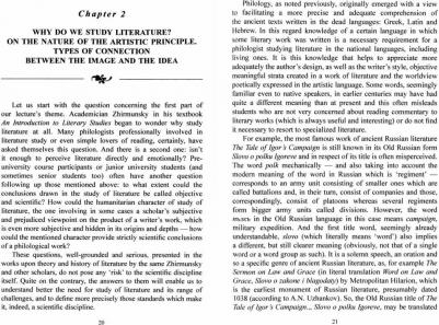 Васильев Сергей Анатольевич. Введение в литературоведение. Учебное пособие 9785976551053 – фото 4