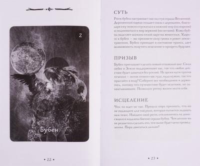 Виллолдо Альберто, Барон-Рид Колетт, Марсела Лобос. Оракул Шамана-мистика – фото 9