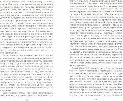 Вишнудэвананда Свами. Служение — путь и плод духовной реализации – фото 2