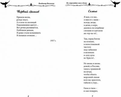 Визгалов Владимир Иванович. Не стреляйте мне в душу – фото 2