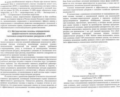 Водянников Владимир Тимофеевич. Экономика реализации биоэнергетического потенциала отходов аграрного производства. Учебное пособие – фото 2