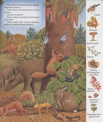 Волшебные сказки Востока 9789785889444 – фото 1