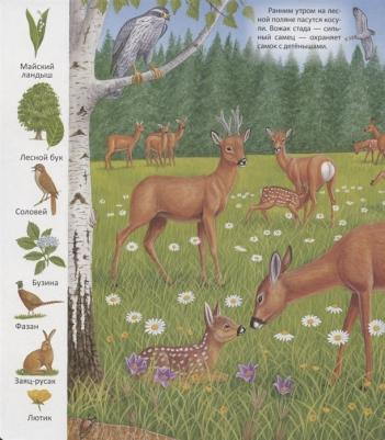 Волшебные сказки Востока 9789785889444 – фото 6