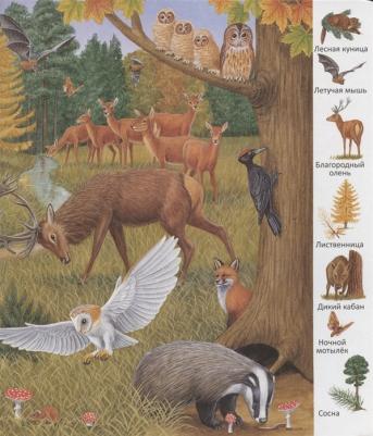 Волшебные сказки Востока 9789785889444 – фото 8