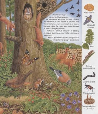 Волшебные сказки Востока 9789785889444 – фото 9