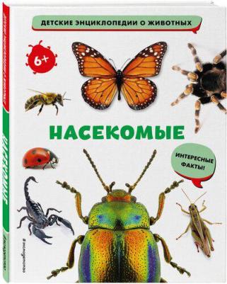 Воронина Наталья. Насекомые – фото 2