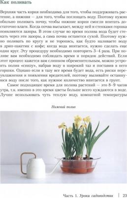 Восставшие из сада – фото 3