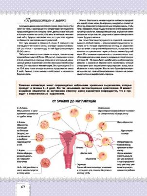 Я буду лучшей мамой, Чеснова И.Е – фото 2