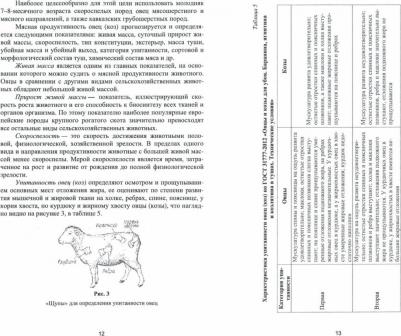 Юлдашбаев Юсупжан Артыкович, Назарченко Оксана Викторовна, Улимбашев Мурат Борисович. Практикум по овцеводству. Учебное пособие – фото 2