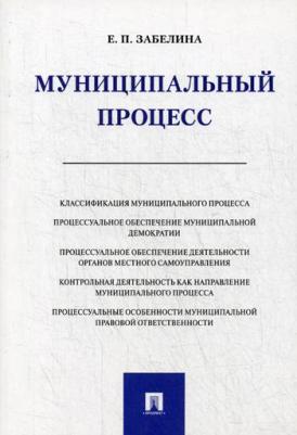 Забелина Елена Павловна. Муниципальный процесс – фото 2