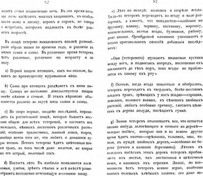 Замечания Московского охотника на ружейную охоту – фото 1