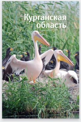 Затонский Александр, Черепанов Евгений, Мурзаев Валентин. Водный туризм на Урале. Сплавы, рыбалка, источники, водопады. Путеводитель – фото 6