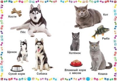 Животные и их детеныши. для самых маленьких – фото 2