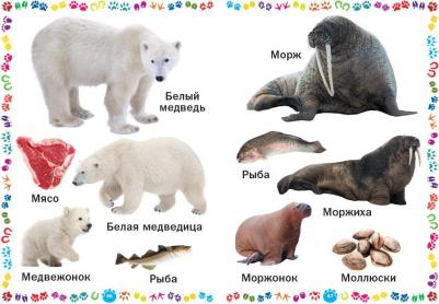 Животные и их детеныши. для самых маленьких – фото 4