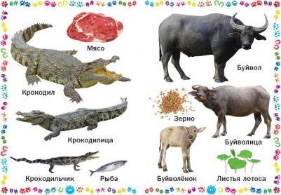 Животные и их детеныши. для самых маленьких – фото 5