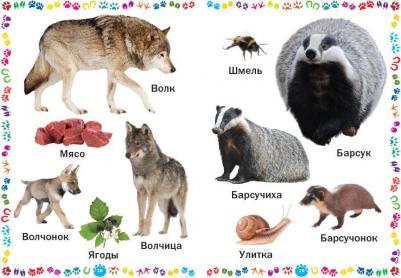 Животные и их детеныши. для самых маленьких – фото 7