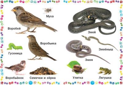 Животные и их детеныши. для самых маленьких – фото 11