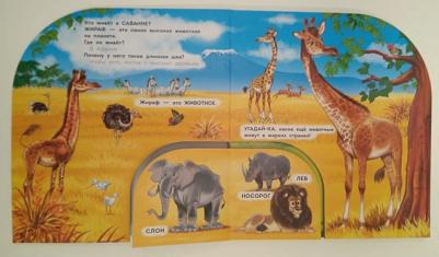 Животные. От аиста до льва – фото 1