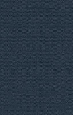 Жоржи Амаду. Тереза Батиста, уставшая воевать – фото 1