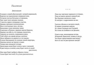 Жук Вадим Семенович. Как с цепи сорвался – фото 2