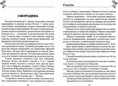 Зорина Анна. Плодовый сад. Минимум знаний для максимального урожая – фото 1