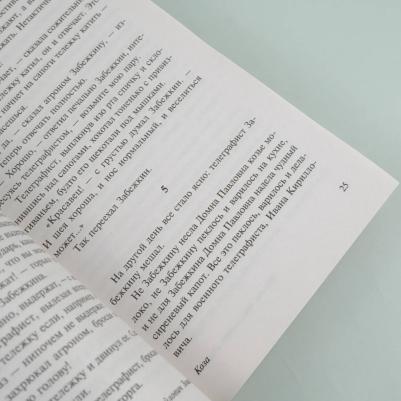 Зощенко Михаил Михайлович. Веселое приключение – фото 3