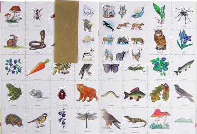 Набор книг Школа семи гномов Годовой курс занятий 6-7 лет – фото 20